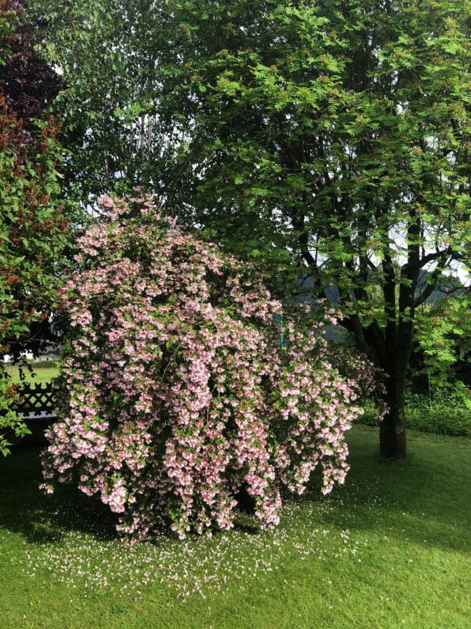 Frühstückspension Eichberger Pols Exterior foto